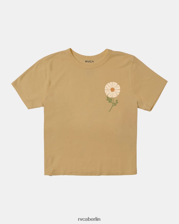 RVCA unverzichtbares T-Shirt BF4L8X1218 Kleidung Stroh Frauen