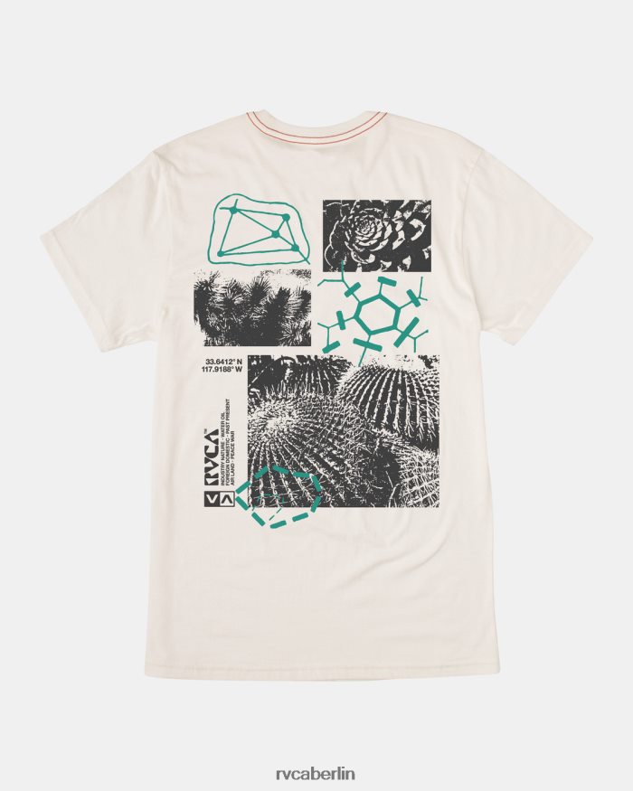 RVCA Ethnobotonie-T-Shirt BF4L8X183 Kleidung Altweiß Männer