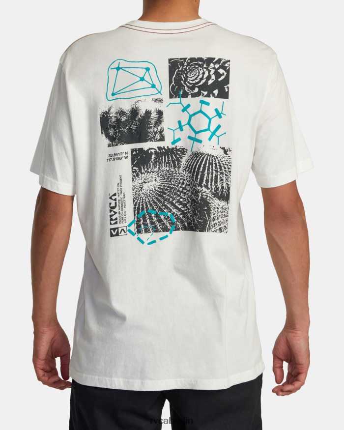 RVCA Ethnobotonie-T-Shirt BF4L8X183 Kleidung Altweiß Männer