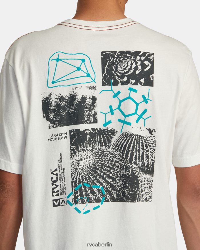 RVCA Ethnobotonie-T-Shirt BF4L8X183 Kleidung Altweiß Männer