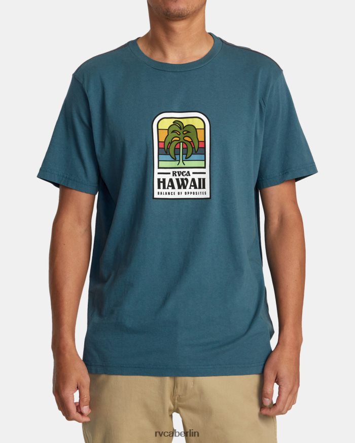 RVCA Hawaii-Insel-Flora-T-Shirt BF4L8X52 Kleidung Entenblau Männer