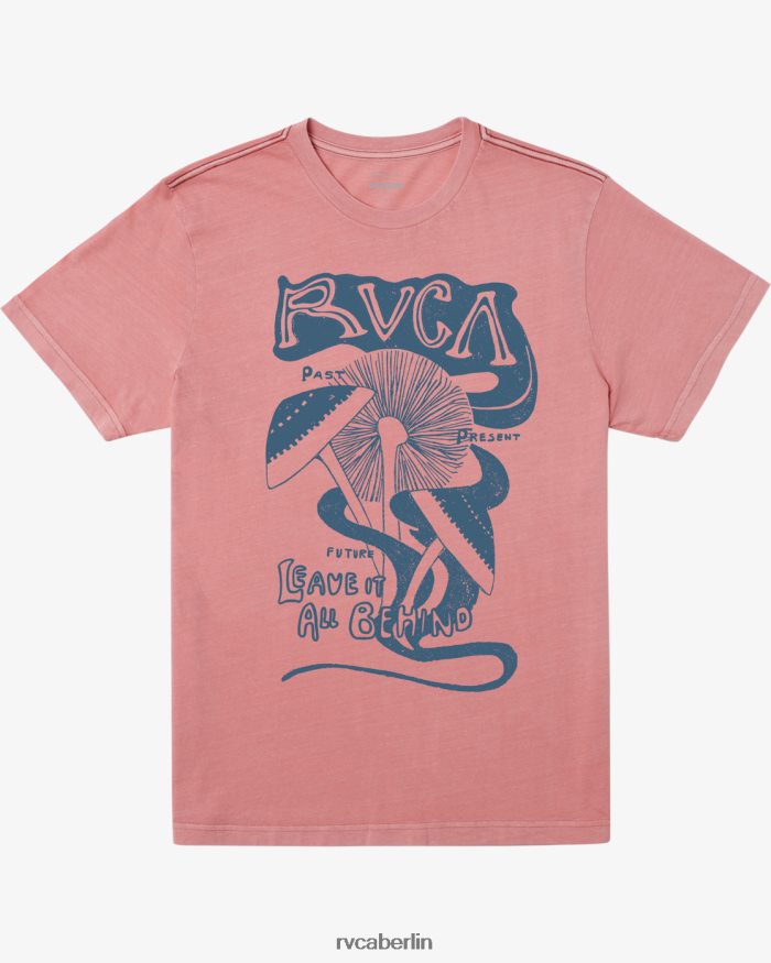 RVCA T-Shirt zurücklassen BF4L8X471 Kleidung Flamingo Männer