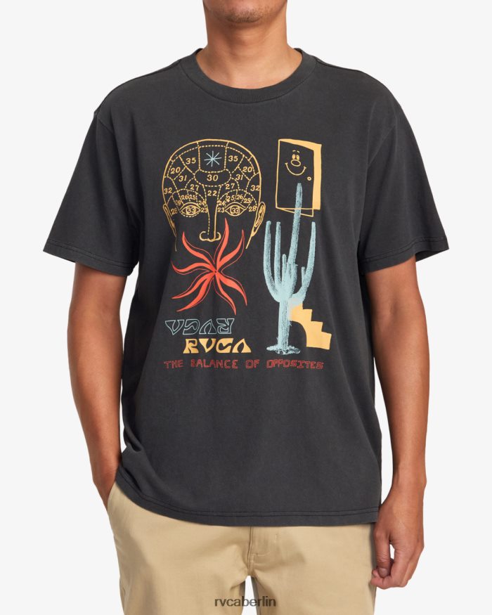 RVCA Traumlandschaft-T-Shirt BF4L8X913 Kleidung Schwarz Männer