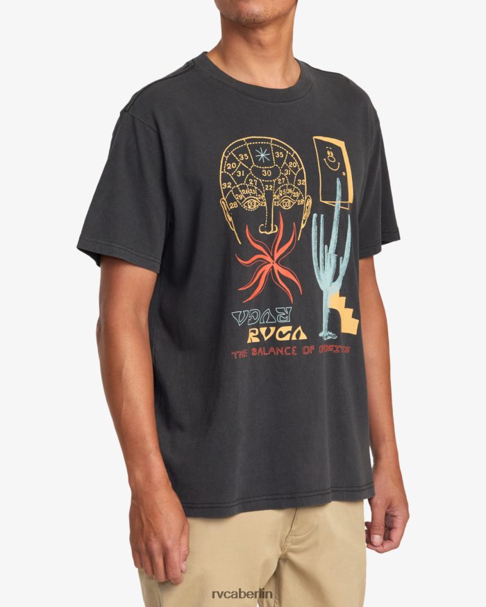 RVCA Traumlandschaft-T-Shirt BF4L8X913 Kleidung Schwarz Männer
