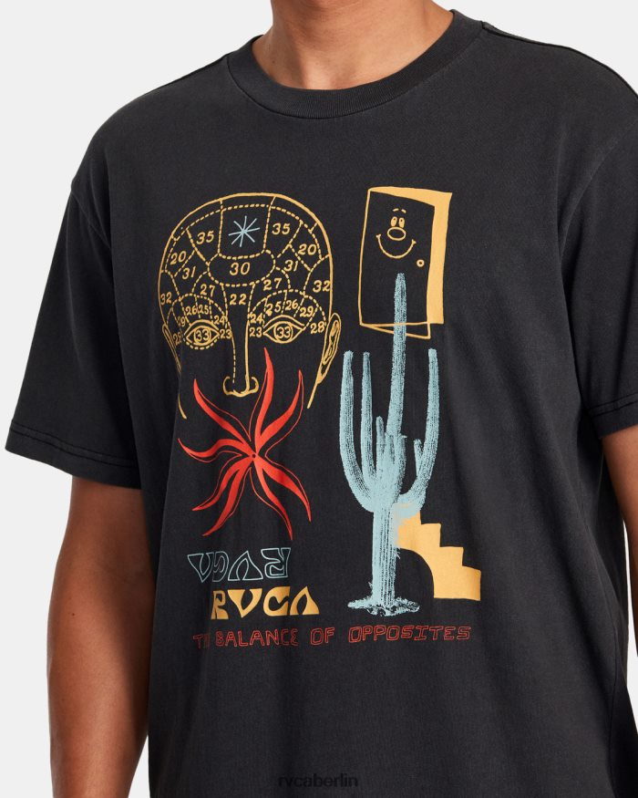 RVCA Traumlandschaft-T-Shirt BF4L8X913 Kleidung Schwarz Männer